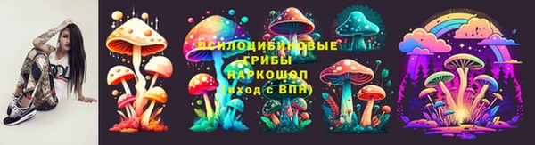 бошки Алексин